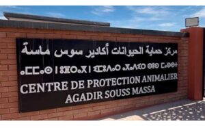 انطلاق خدمات مركز حماية الحيوانات أكادير سوس ماسة