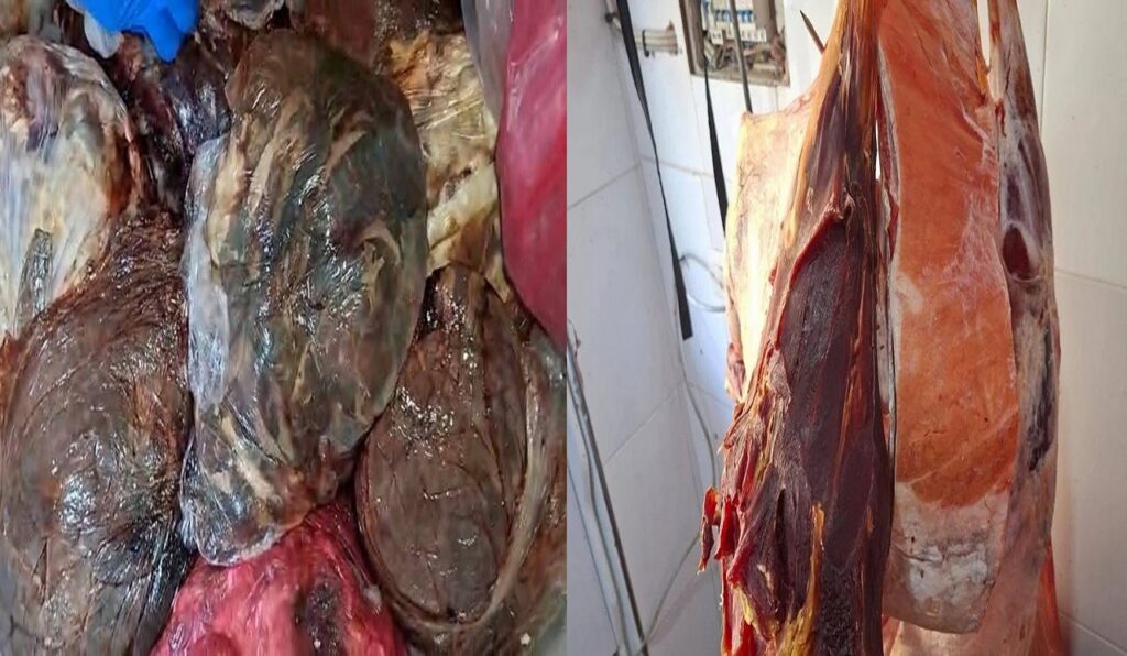 حملة صحية تسفر عن ضبط وإتلاف 200 كيلوغرام من اللحوم والشحوم الفاسدة