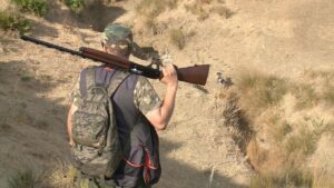 الجفاف يلقي بظلاله على حصيلة موسم القنص بالمغرب 
