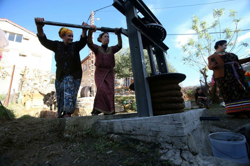 تراجع أسعار زيت الزيتون ينعش أساليب الغش، وتحذيرات من مخاطر استعمال “الفيتور” في بعض المعاصر