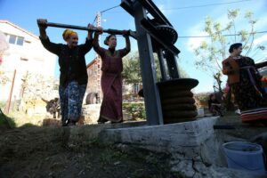 تراجع أسعار زيت الزيتون ينعش أساليب الغش، وتحذيرات من مخاطر استعمال “الفيتور” في بعض المعاصر