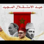 زيتوت الجزائري.. عنوان للوقاحة بلاحدود