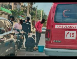 كلب مسعور يثير الرعب بتيزنيت بعد الهجوم على سيدتين