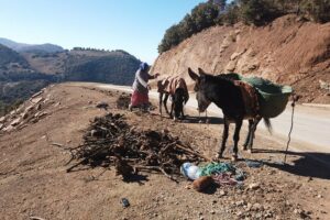 معاناة المناطق الجبلية تعود مع أولى موجات الصقيع، وسط دعوات لتوفير الدعم الطاقي