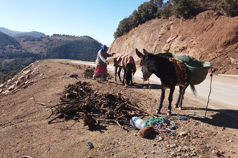 معاناة المناطق الجبلية تعود مع أولى موجات الصقيع، وسط دعوات لتوفير الدعم الطاقي