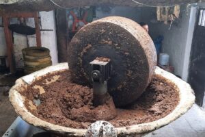 ارتفاع رسوم عصر الزيتون يثير الغضب في صفوف المواطنين