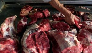 إحباط محاولة ترويج قرابة طن من لحوم الأبقار الفاسدة