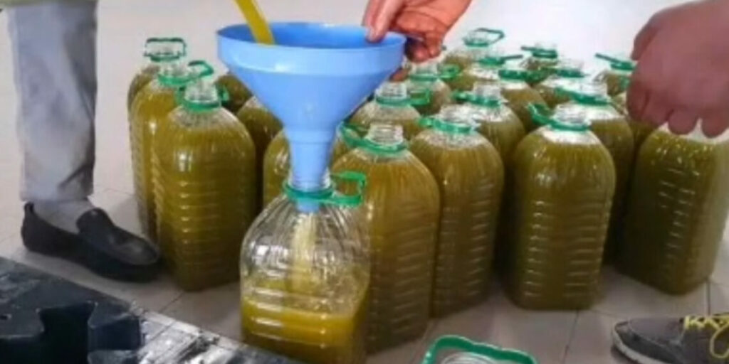 زيت الزيتون يتحول إلى تجارة مربحة في سوق التهريب