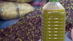 “بشرى للمغاربة”.. انهيار تاريخي في أسعار زيت الزيتون: اللتر بـ 40 درهماً فقط