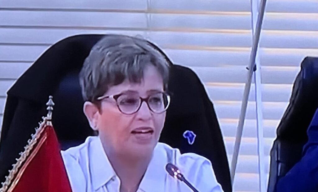 ابتسامة الأمير مولاي الحسن وحضور الأمازيغية يشعلان افتتاح كأس إفريقيا.