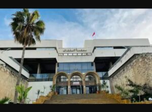 “التيربو” وزوج ريم فكري: لماذا أدى غياب المحامي وحاجز اللغة لتأجيل محاكمة القتل العمد؟