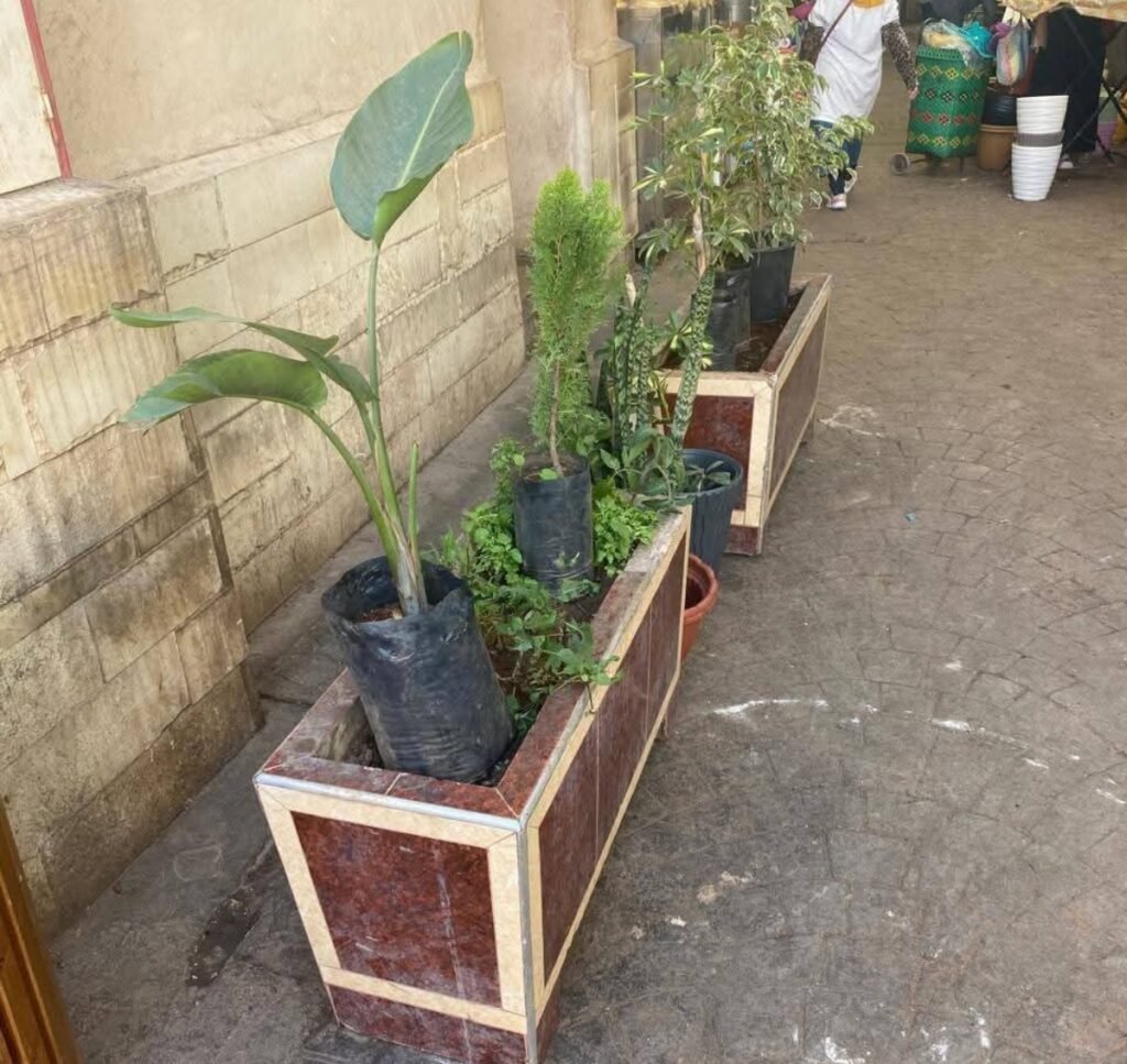 سوق الأحد بأكادير يستعد لاستقبال السياح خلال “الكان”