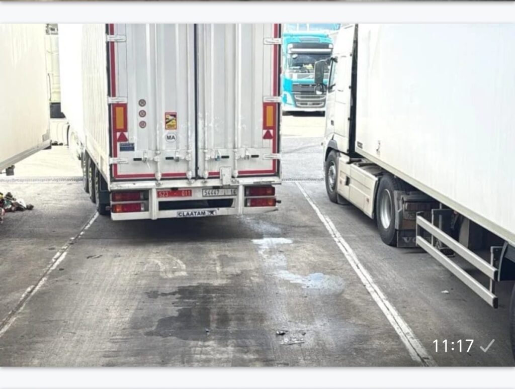 في آخر لحظة.. الأمن والجمارك يحبطان محاولة تهريب 8 أطنان من المخدرات نحو أوروبا