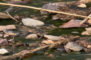 كارثة بيئية تهز ميراللفت: شاطئ “سيدي الوافي” يغرق في التلوث والسكان يستغيثون(+صور)