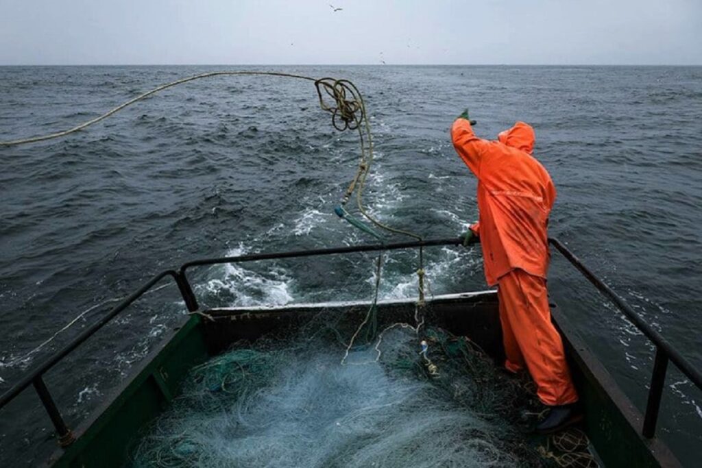 روسيا تتلقى طلبات شركاتها لتخصيص حصص الصيد في المياه المغربية بالأطلسي (يناير 2026)