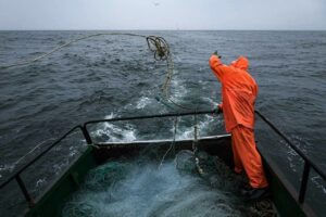 روسيا تتلقى طلبات شركاتها لتخصيص حصص الصيد في المياه المغربية بالأطلسي (يناير 2026)