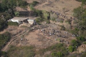 اليقظة الأمنية تفشل محاولات هجرة جماعية خلال نهائي “الكان”