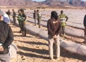 طاطا : إتلاف مساحات فلاحية مزروعة بالبطيخ الأحمر