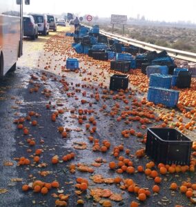 تارودانت : انفلات حمولة صناديق ليمون من شاحنة تربك حركة السير