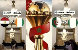 نيمبيس برونوس: “القط العراف” يصدم جماهير الجزائر ومصر بتوقعات نارية في كان 2025