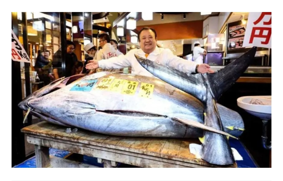 بـ 3 مليارات سنتيم.. “ملك السوشي” يحطم الأرقام القياسية ويقتنص تونة الـ 2026 في طوكيو