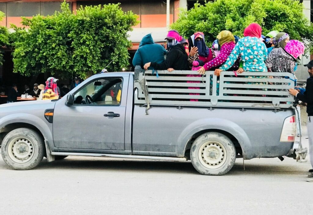 صور صادمة تعيد إلى الواجهة واقع نقل العمال الزراعيين بأكادير