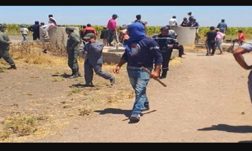 فعاليات مدنية تدق ناقوس الخطر بسبب اعتداءات الرعاة الرحل بسوس