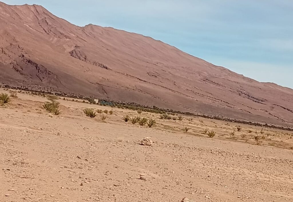 ” حين يغتال “التجمهر” هيبة القضاء: صرخة الجماعة السلالية “أيت ويران” تحت وصاية وزارة الداخلية”