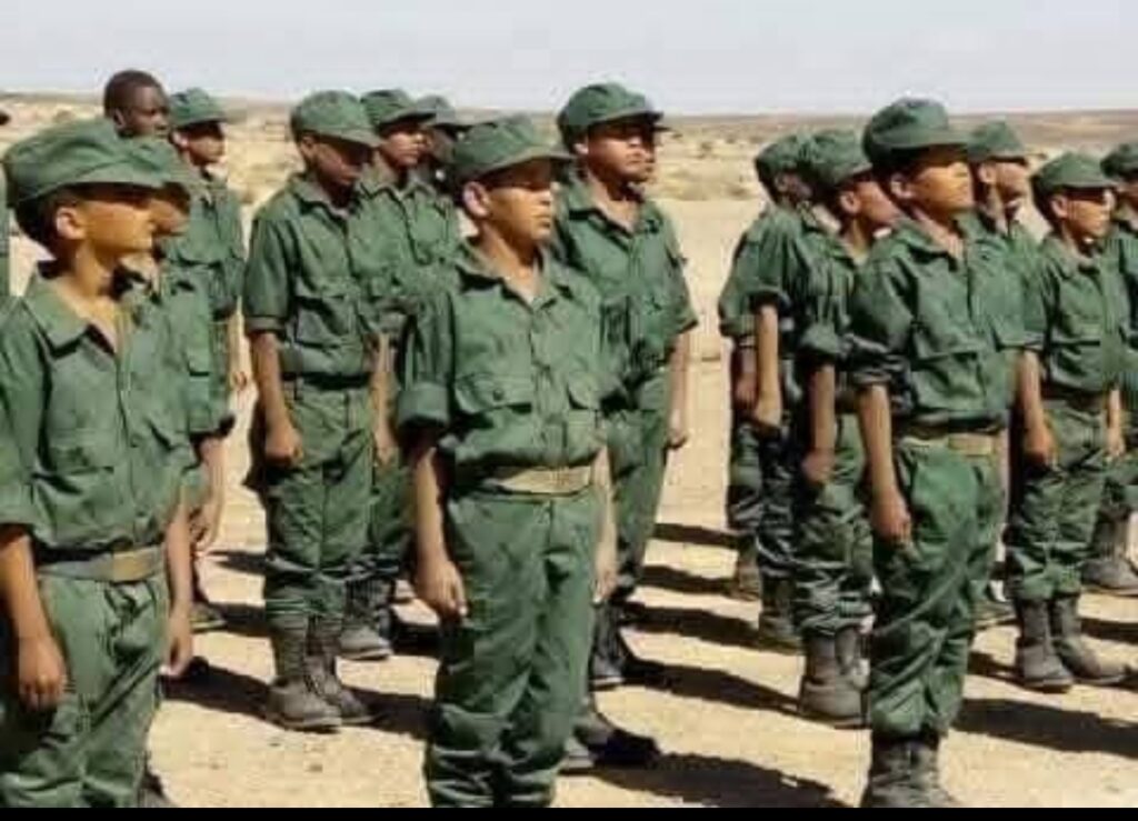 من الأرحام إلى الثكنات: اتهامات تلاحق الجزائر بصناعة الأطفال المقاتلين