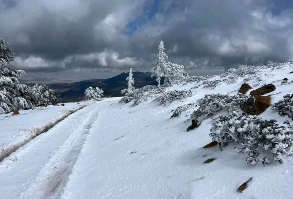 مقاييس التساقطات الثلجية بالمملكة (سم)
