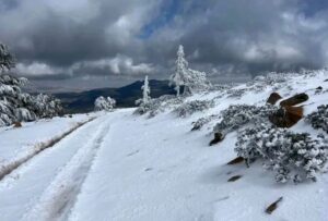 مقاييس التساقطات الثلجية بالمملكة (سم)