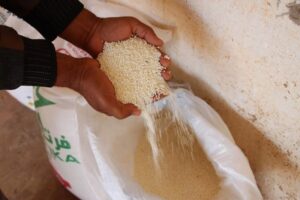 ارتفاع أسعار الأسمدة يثقل كاهل الفلاحين ويهدد استقرار الإنتاج الفلاحي