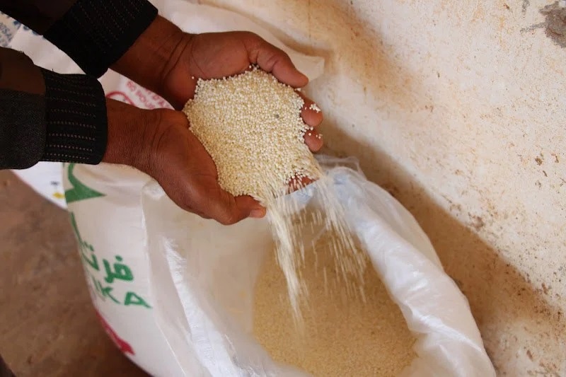 ارتفاع أسعار الأسمدة يثقل كاهل الفلاحين ويهدد استقرار الإنتاج الفلاحي