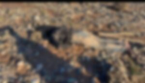 تارودانت : السيول تجرف ثلاثينياً بعد تصويره فيديو على “تيك توك”