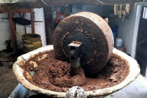 معاصر الزيتون تحول موسم الخير إلى كارثة بيئية