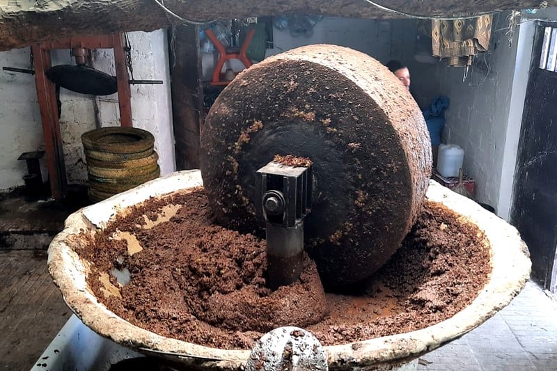 معاصر الزيتون تحول موسم الخير إلى كارثة بيئية