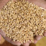 اصطدام تسلسلي لأربع سيارات وسط الشارع العام يخلف استنفارا واسعا