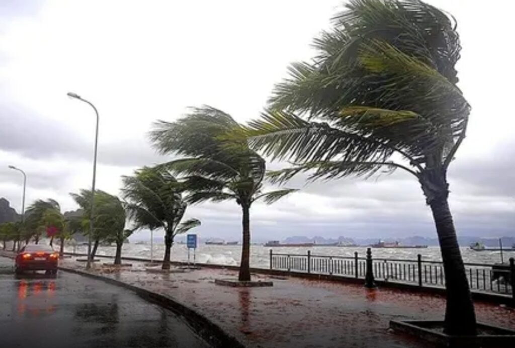 توقيف الدراسة والأنشطة العلمية بجهة الشمال