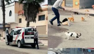 مغرب التضامن.. ملحمة القصر الكبير التي أبهرت العالم بدروس الإنسانية