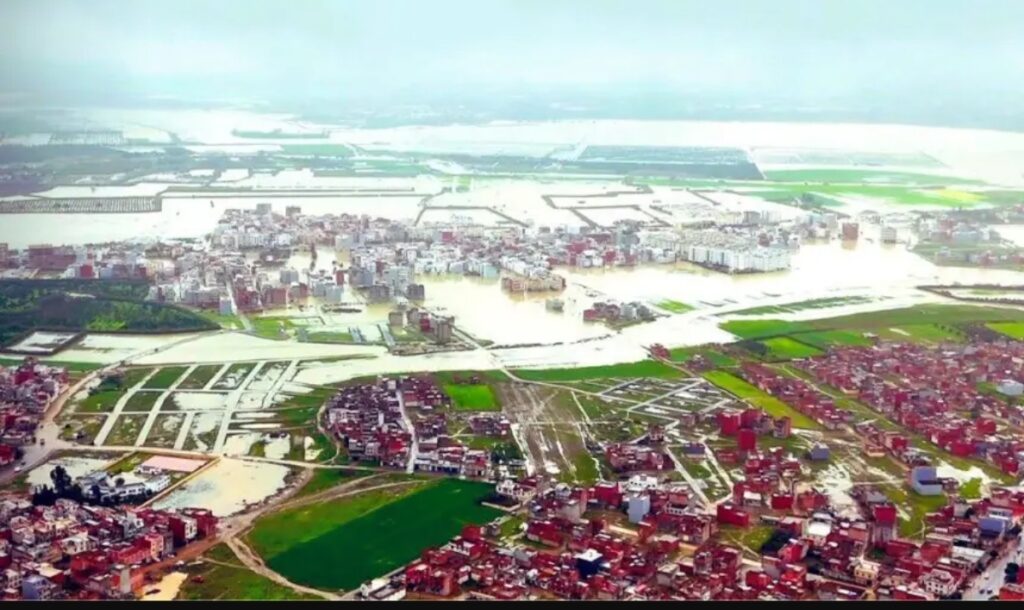 خسائر فادحة لمنتجي الحوامض بسبب الأمطار الغزيرة، وفيدرالية مهنية تدعو إلى تدخل عاجل