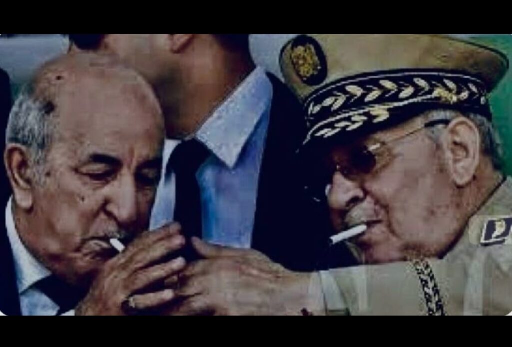 الرئيس الجزائري يدعو إلى الحوار والسلام في أديس أبابا