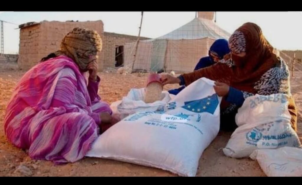 حين يصبح الانتظار عبئاً… نداء العودة إلى وطن الكرامة