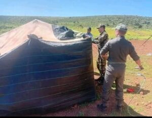 الرعاة الرحل يستنفرون سلطات إقليم سيدي إفني