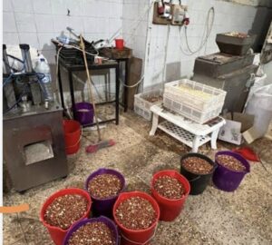 القليعة.. الدرك الملكي يحجز 10 أطنان من الكاكاو الفاسد وسط محلات عشوائية