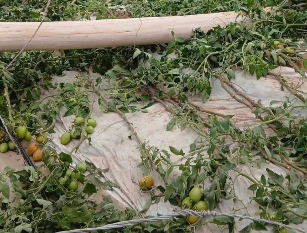 فلاحو اشتوكة يدقون ناقوس الخطر بعد العواصف الرملية