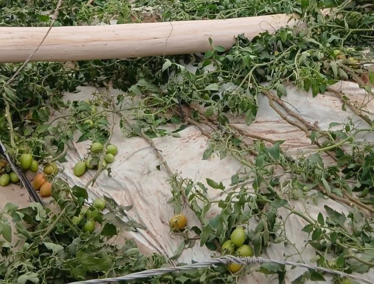 فلاحو اشتوكة يدقون ناقوس الخطر بعد العواصف الرملية