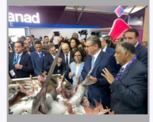 عن “اللبن” الذي أهدره صيف السياسات: قراءة في انكسارات الصيد البحري ونبوءات “الغيورين”