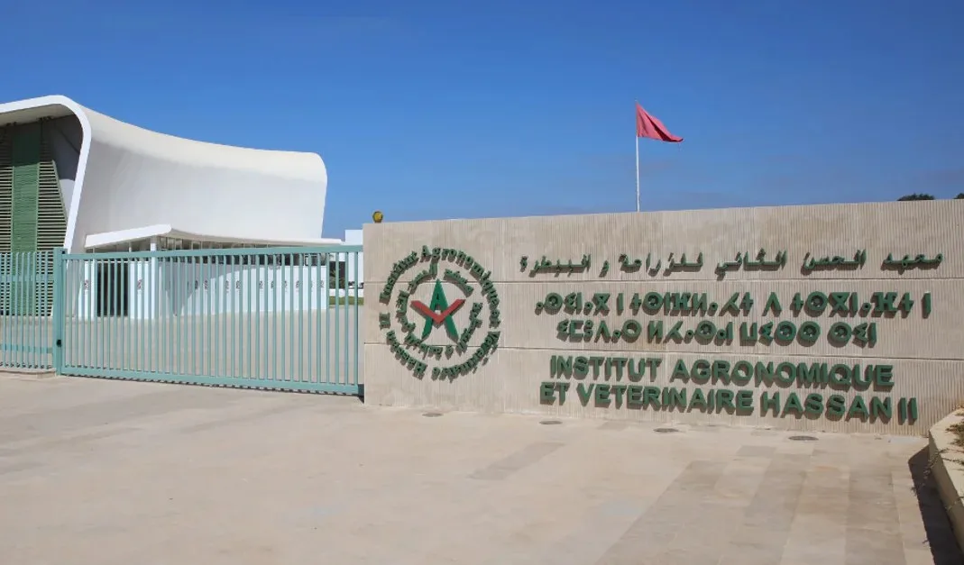صرخة طالبة بـ “معهد الحسن الثاني للزراعة والبيطرة”: هل أصبحت الأحكام القضائية حبراً على ورق؟