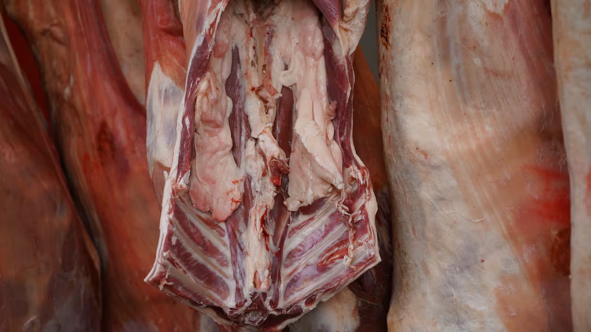 ارتفاع قياسي في أسعار لحم الغنم بالمغرب: 120 درهما للكيلوغرام، وسط غياب تفسيرات واضحة