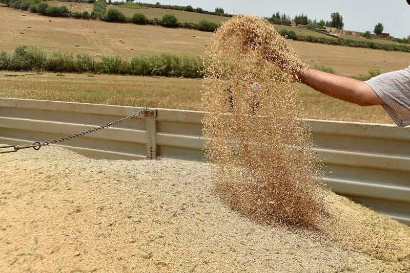 وفرة الحبوب في المغرب.. هل تنخفض الأسعار أم تبقى جيوب المواطنين تحت الضغط؟